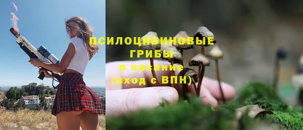 mix Карпинск