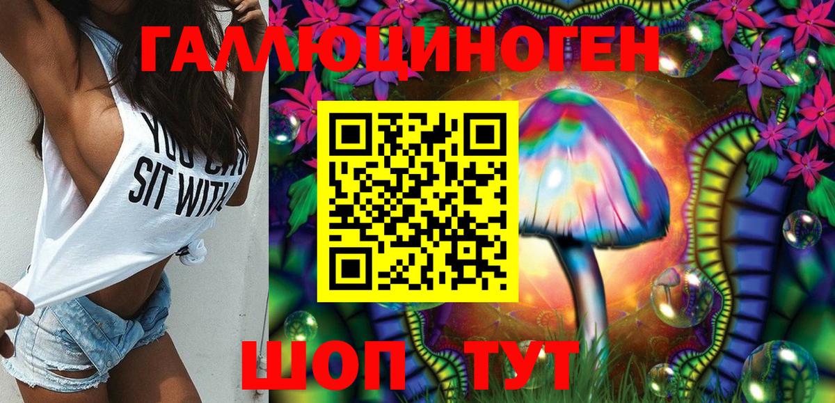 Псилоцибиновые грибы Cubensis Кандалакша