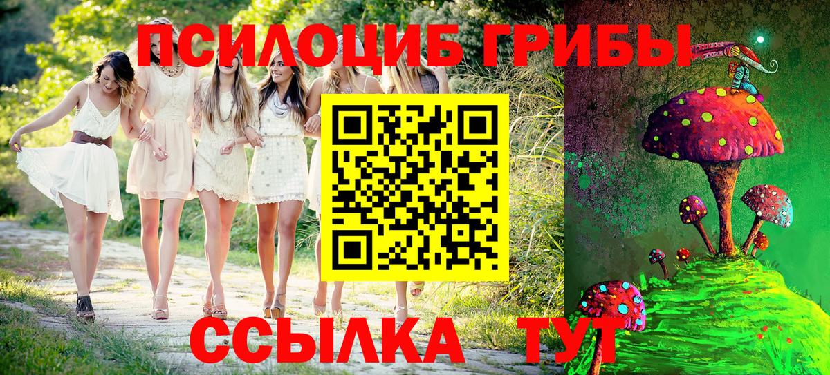Галлюциногенные грибы Magic Shrooms  Вход с VPN  Псилоцибиновые грибы GOLDEN TEACHER  Кандалакша 